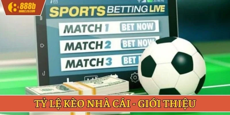 Tỷ lệ kèo nhà cái - Giới thiệu
